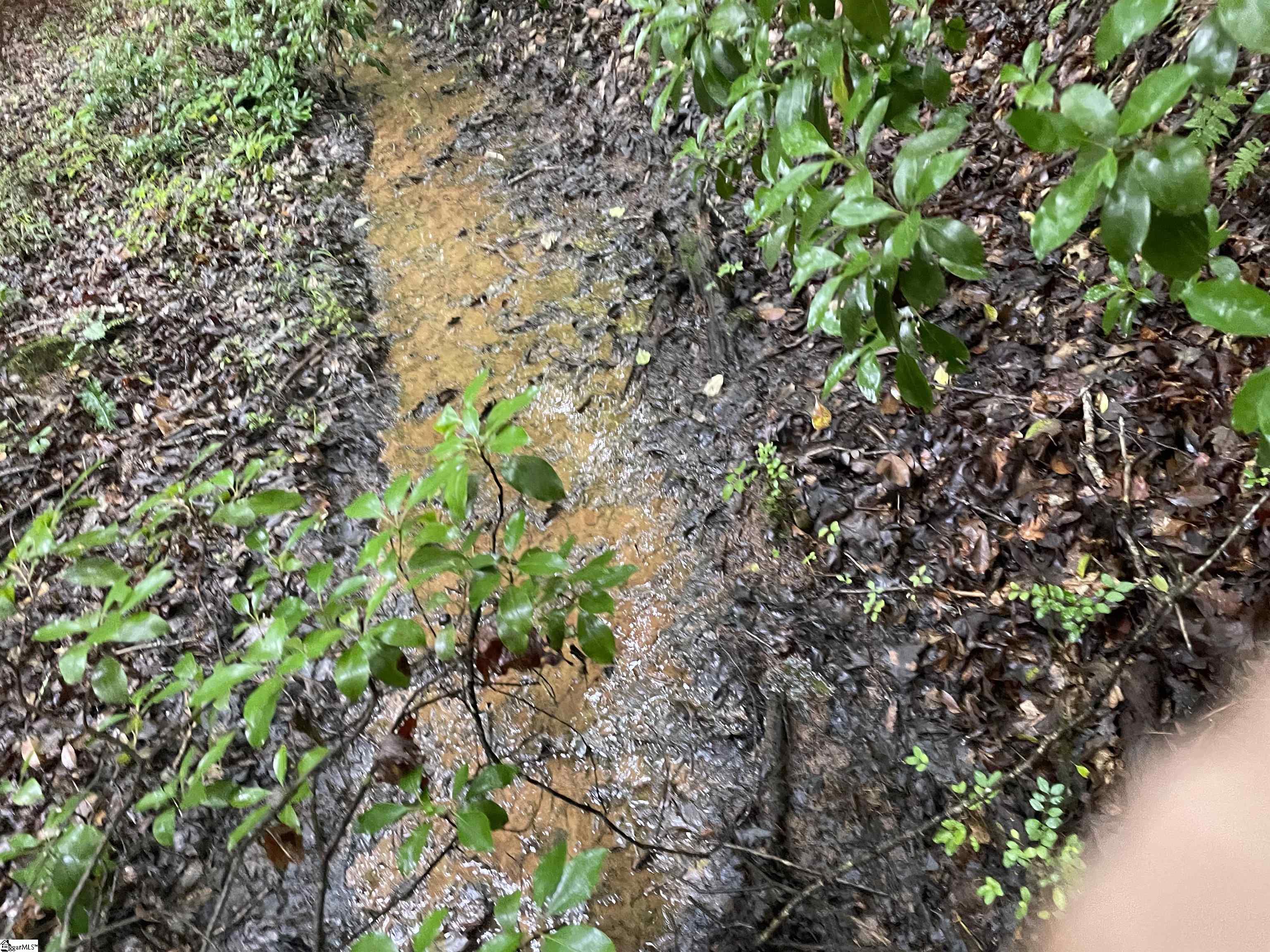 0 North Little River Road Salem, SC 29676 - Photo 6 of 24