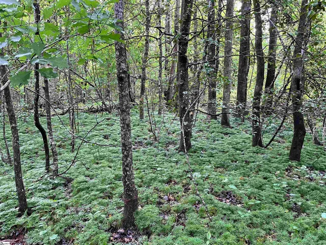 $425,500 | 0 North Little River Road, Salem, SC 29676