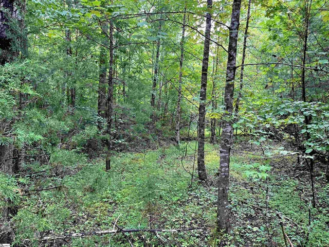 $425,500 | 0 North Little River Road, Salem, SC 29676