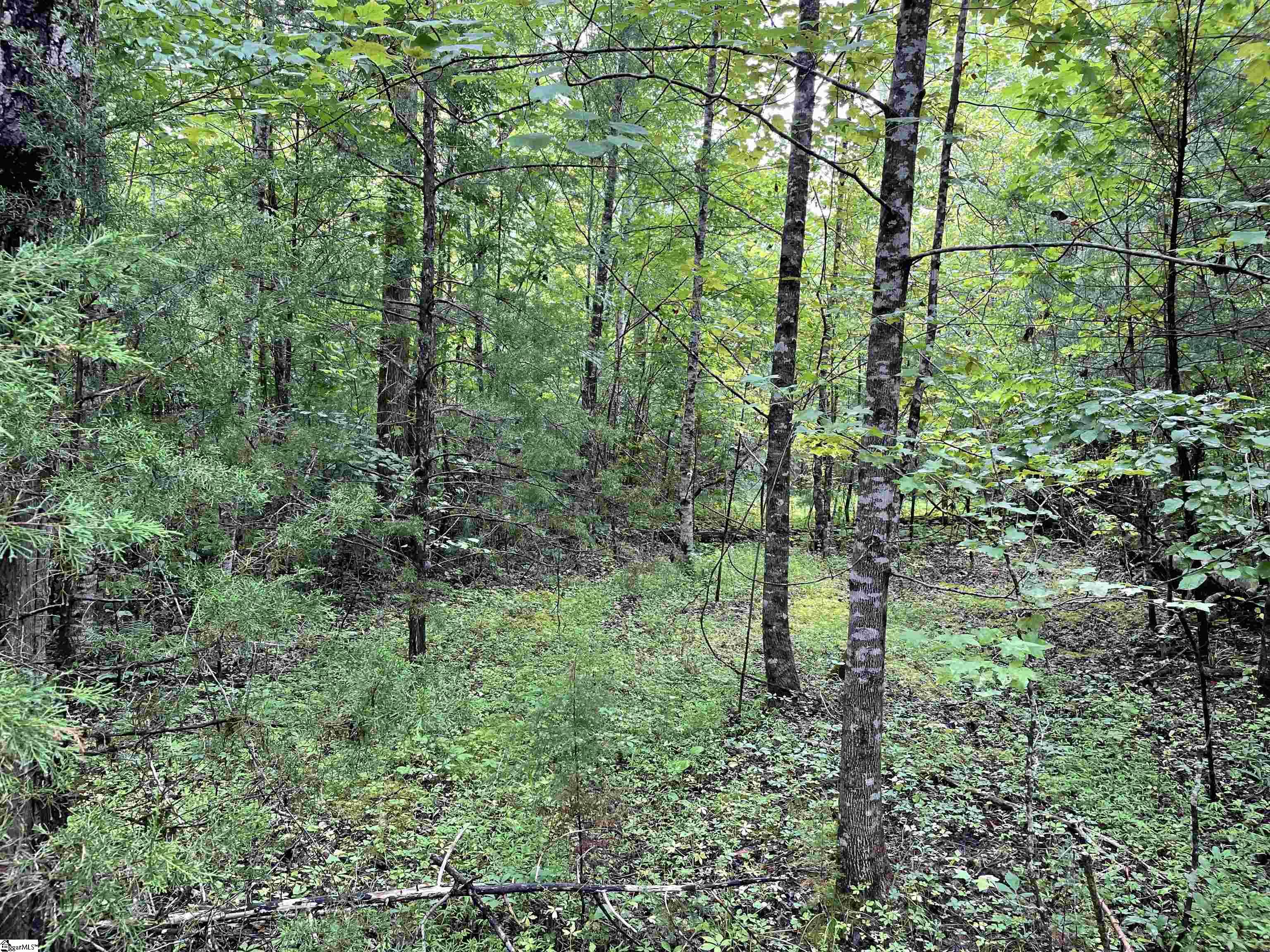 0 North Little River Road Salem, SC 29676 - Photo 8 of 24