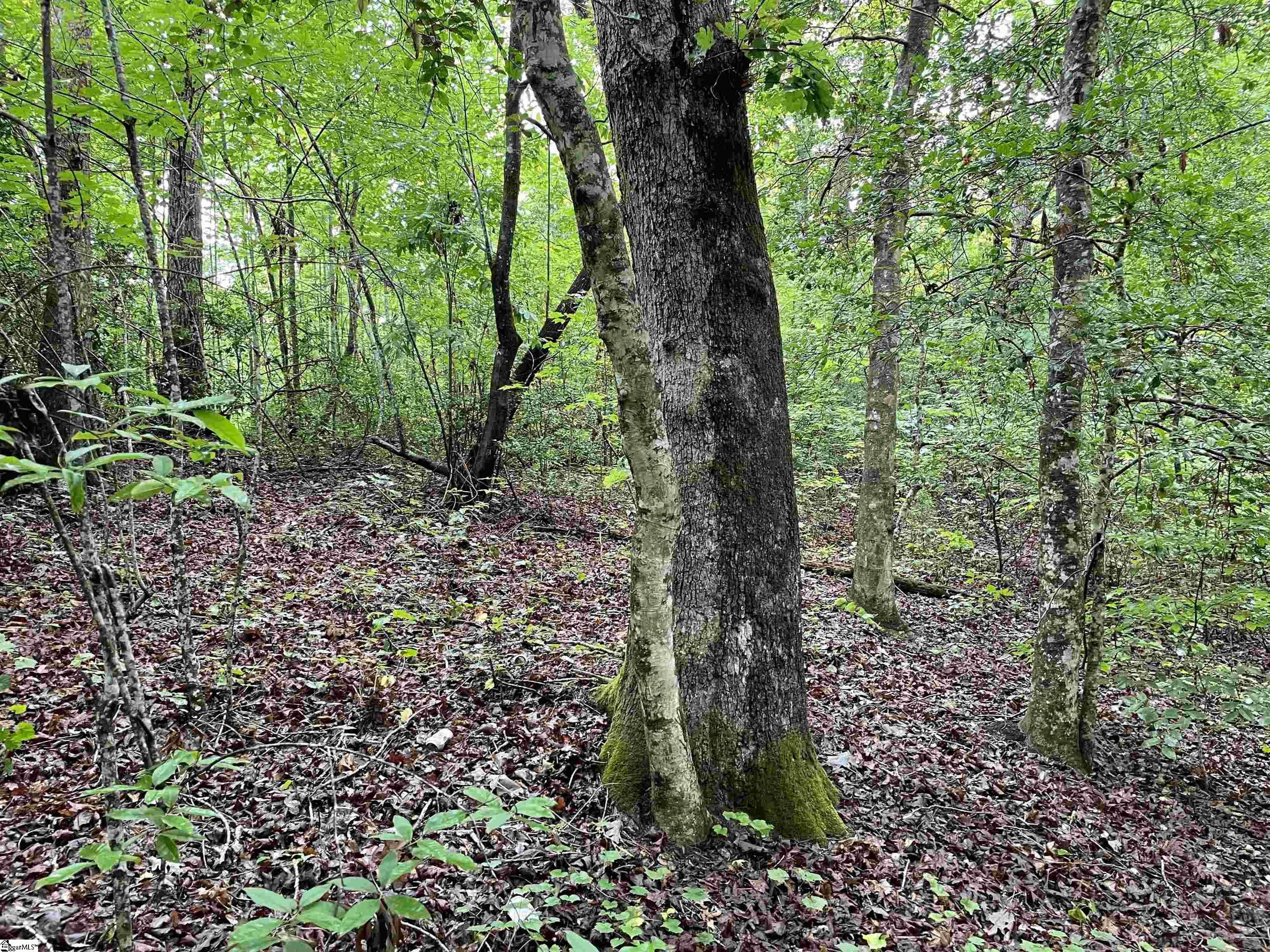 0 North Little River Road Salem, SC 29676 - Photo 9 of 24