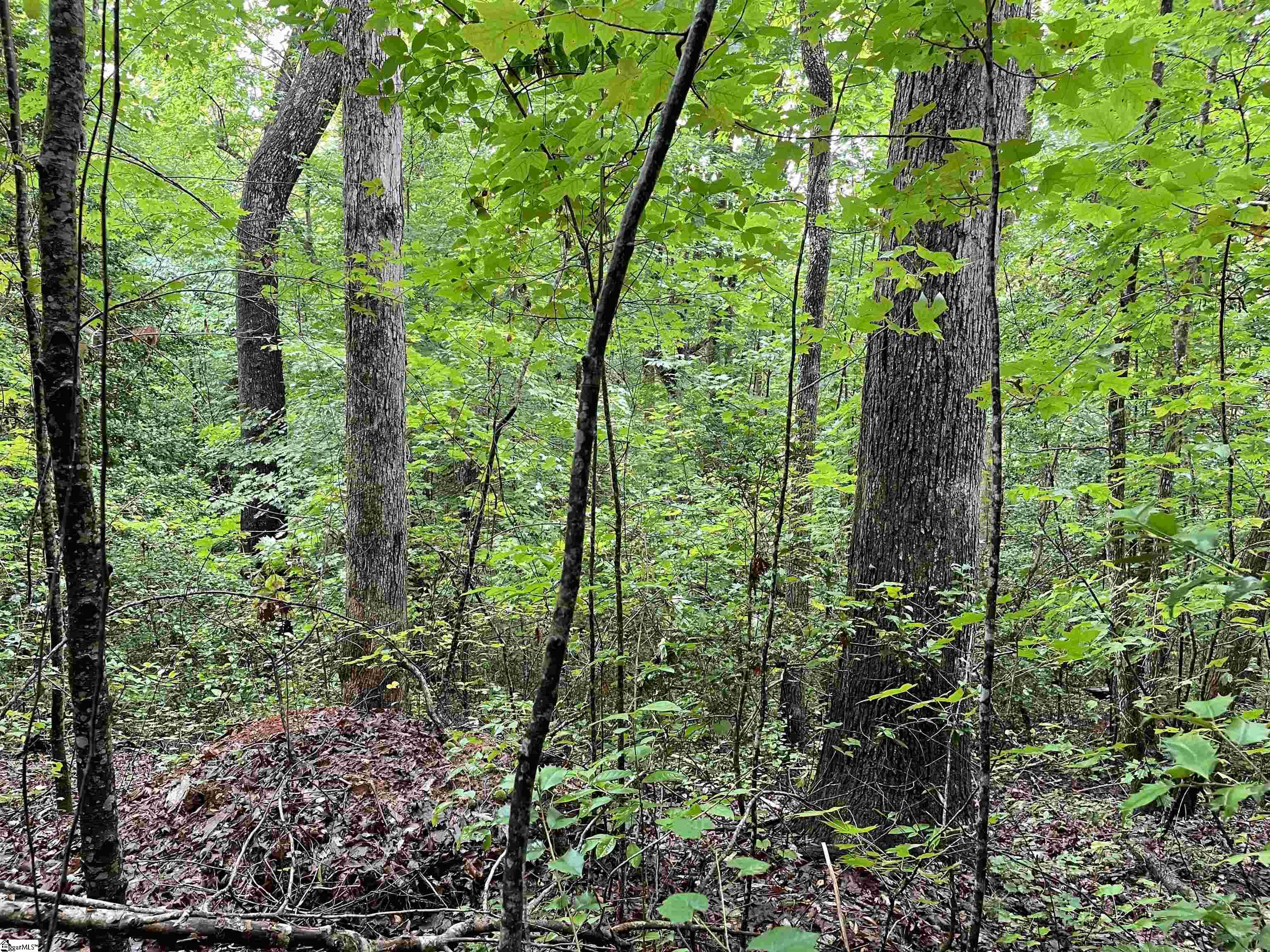 0 North Little River Road Salem, SC 29676 - Photo 10 of 24