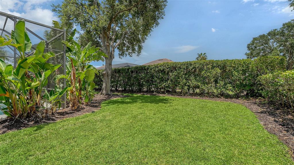 7717 US Open Loop Lakewood Ranch, FL 34202 - Photo 40 of 95 a view of a yard with a tree