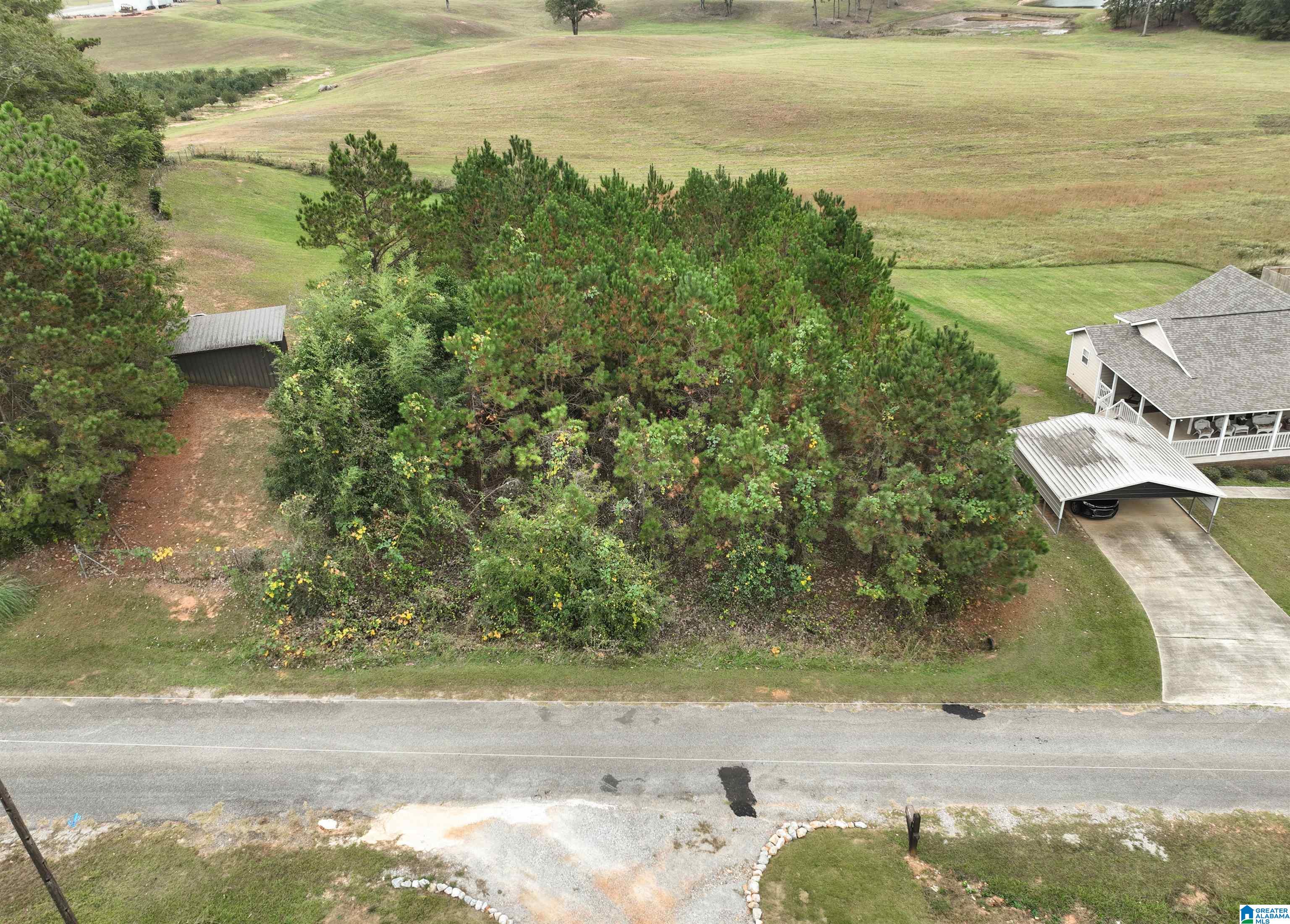 0 Old West Road, Unit LOT 4 Thorsby, AL 35171 - Photo 3 of 4