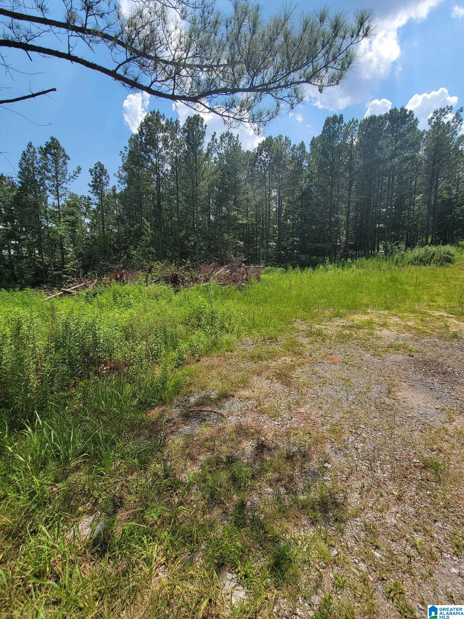 499 Sweet Apple Road Cropwell, AL 35054 - Photo 5 of 9