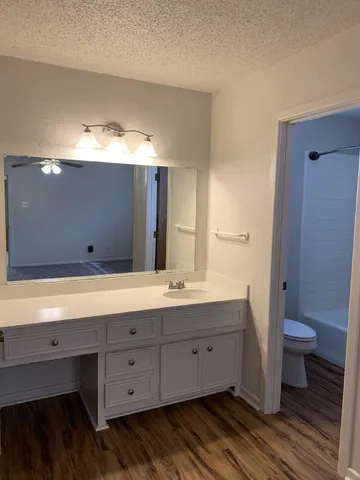 a bathroom with a double vanity sink a toilet and a mirror