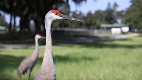 a close up of a sink