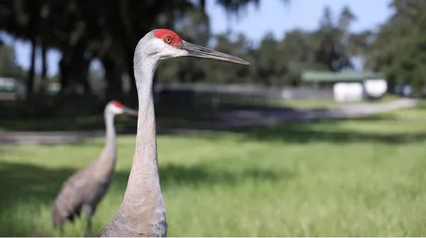 a close up of a sink
