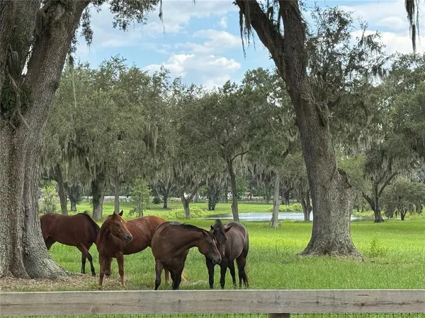 a view of outdoor space yard and green space