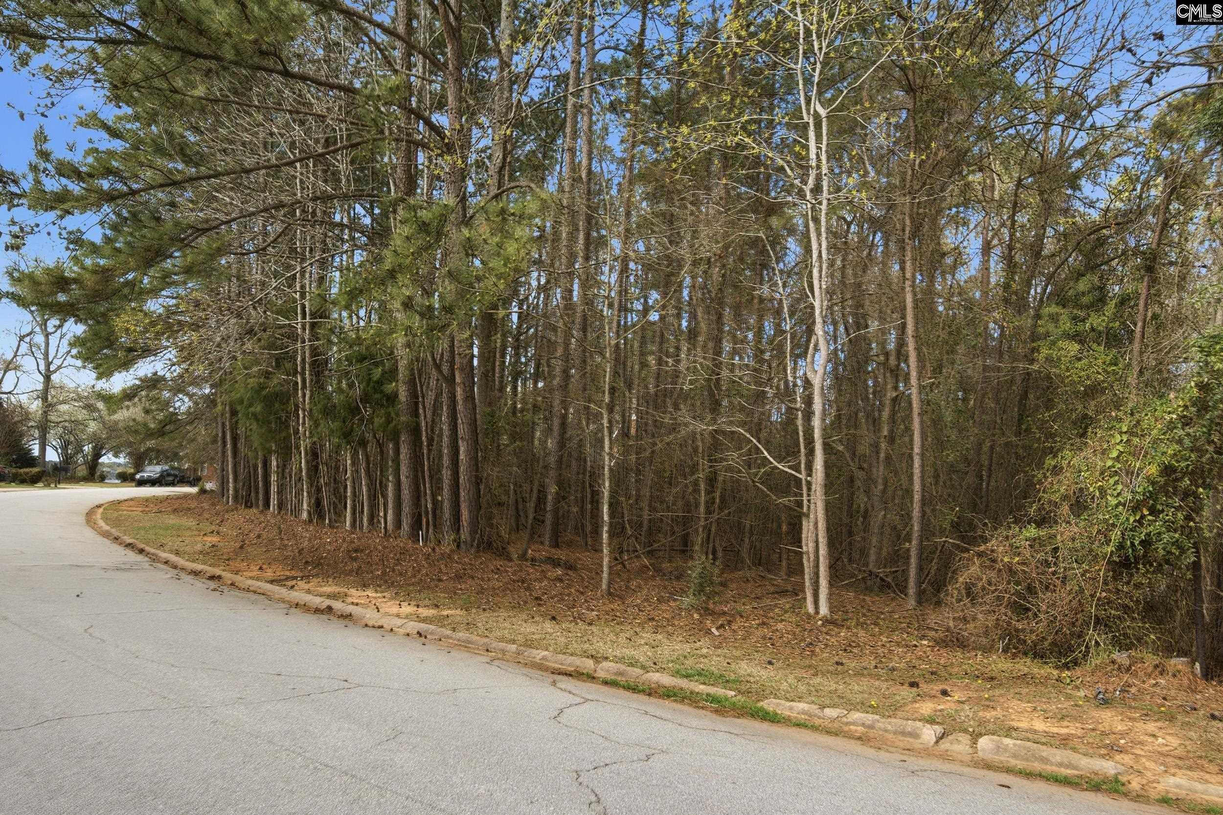 Middleton Place Prosperity, SC 29127 - Photo 17 of 19