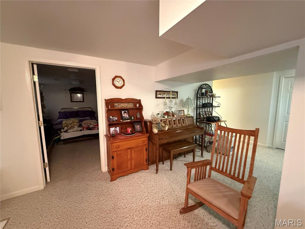 1018 Madison 271 Fredericktown, MO 63645 - Photo 16 of 53