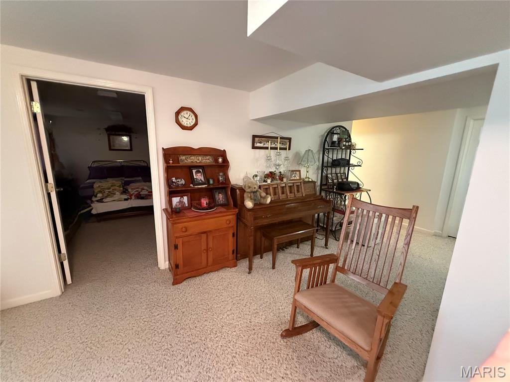 1018 Madison 271 Fredericktown, MO 63645 - Photo 18 of 53