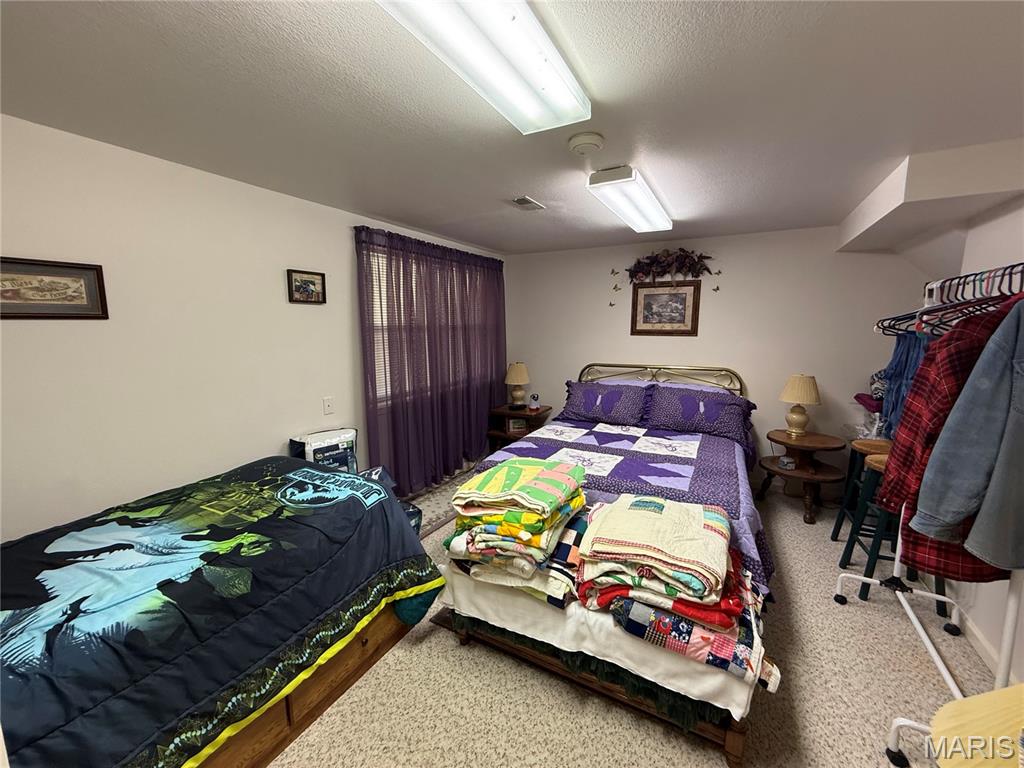 1018 Madison 271 Fredericktown, MO 63645 - Photo 19 of 53