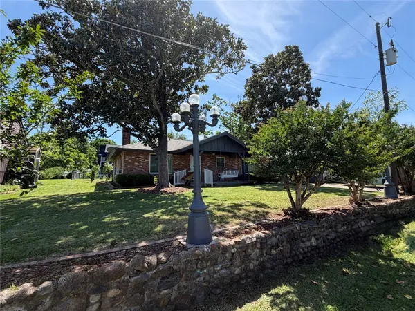 a tree in the middle of a yard