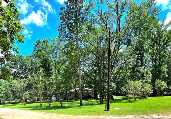 a big yard with flowing stream of water in middle