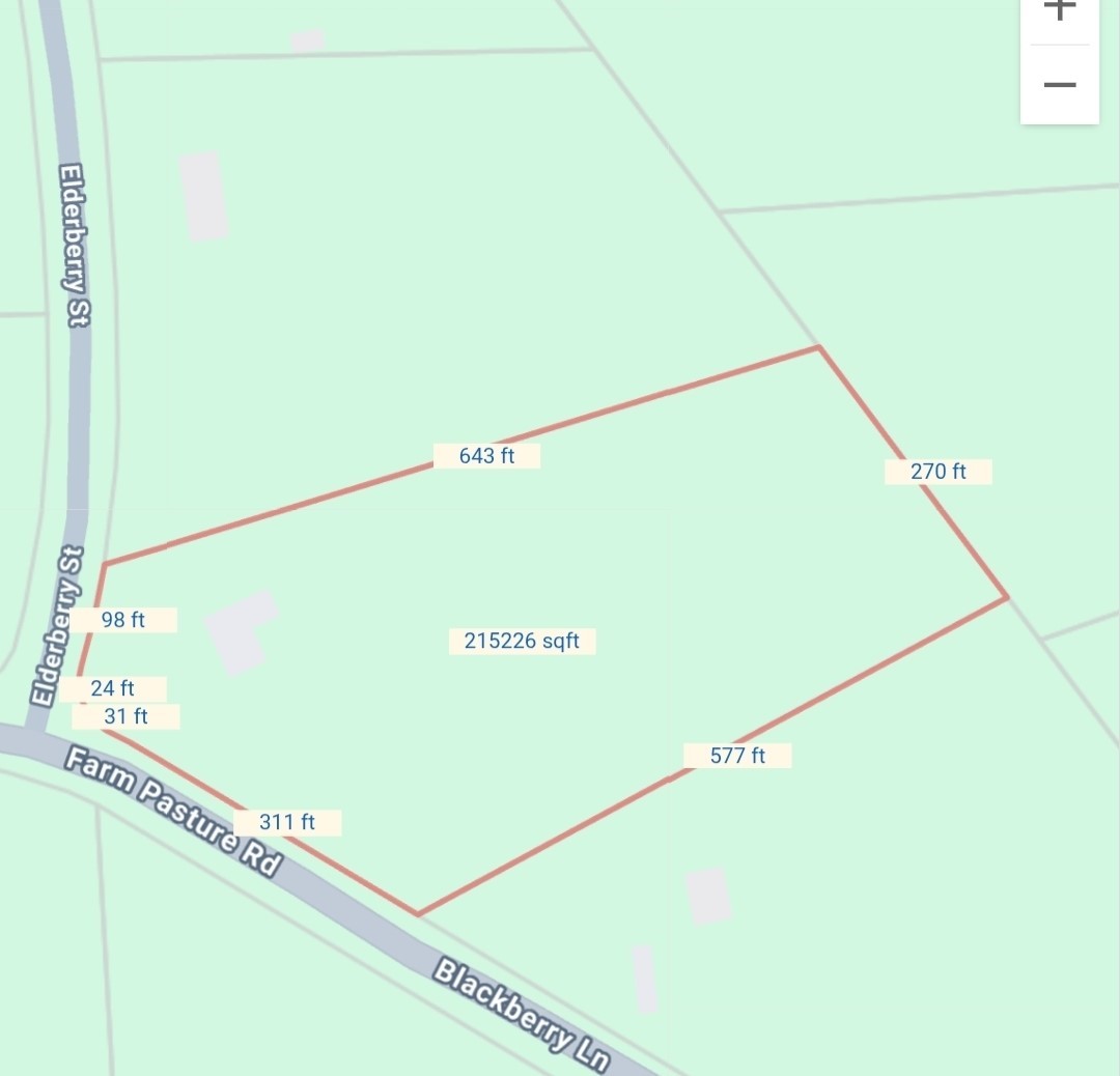 10 Elderberry Street Shepherd, TX 77371 - Photo 4 of 45