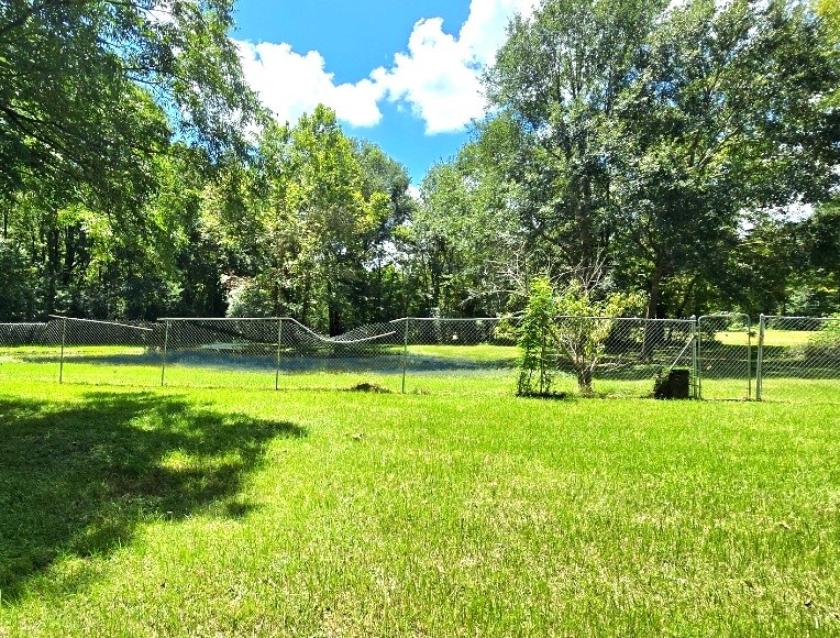 10 Elderberry Street Shepherd, TX 77371 - Photo 45 of 45 POND