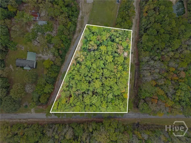 $74,900 | 0 Clyo Shawnee Road, Springfield, GA 31329