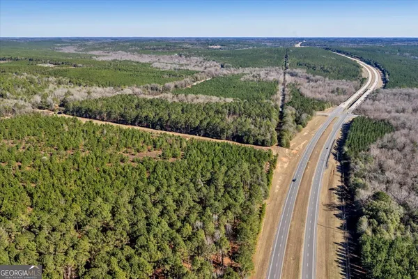 a view of a garden with wooden floor