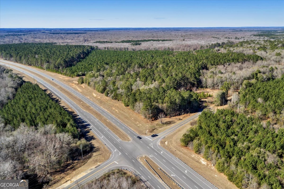296 Boxwood Road Fort Valley, GA 31030 - Photo 13 of 52 a view of a garden with wooden floor