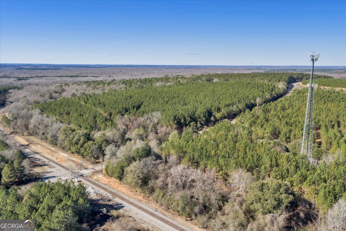 296 Boxwood Road Fort Valley, GA 31030 - Photo 15 of 52 a view of a field with an ocean