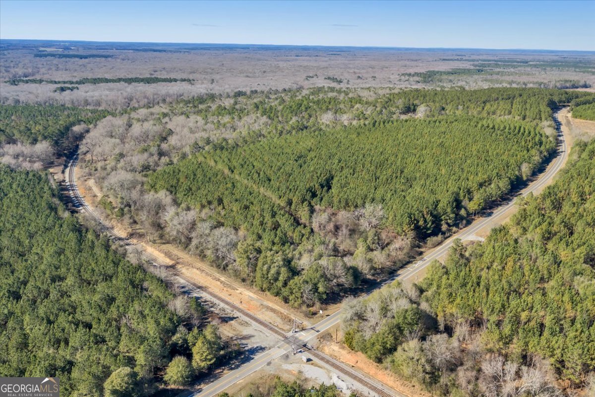 296 Boxwood Road Fort Valley, GA 31030 - Photo 16 of 52 a view of a garden with an outdoor space