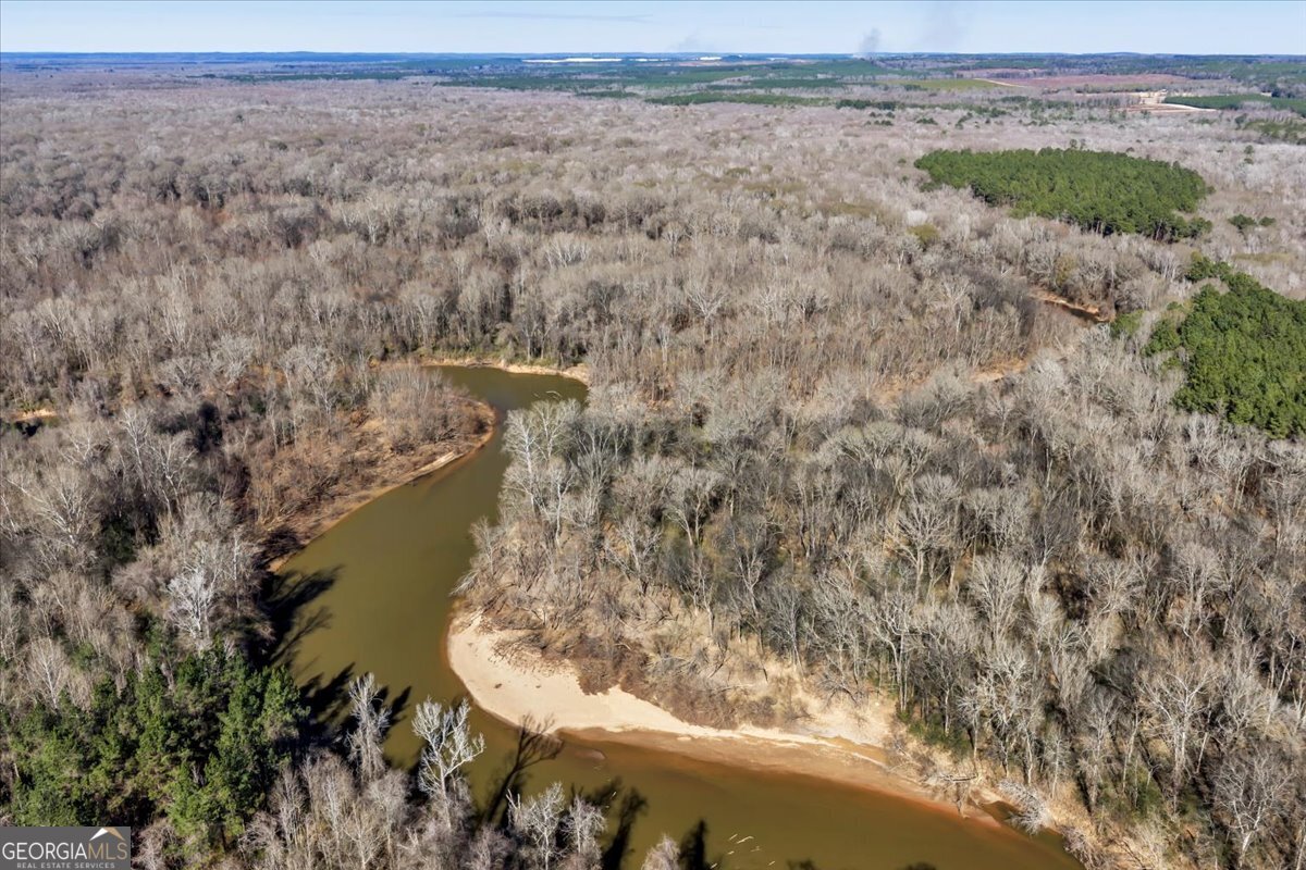 296 Boxwood Road Fort Valley, GA 31030 - Photo 19 of 52 a view of a lake with a yard