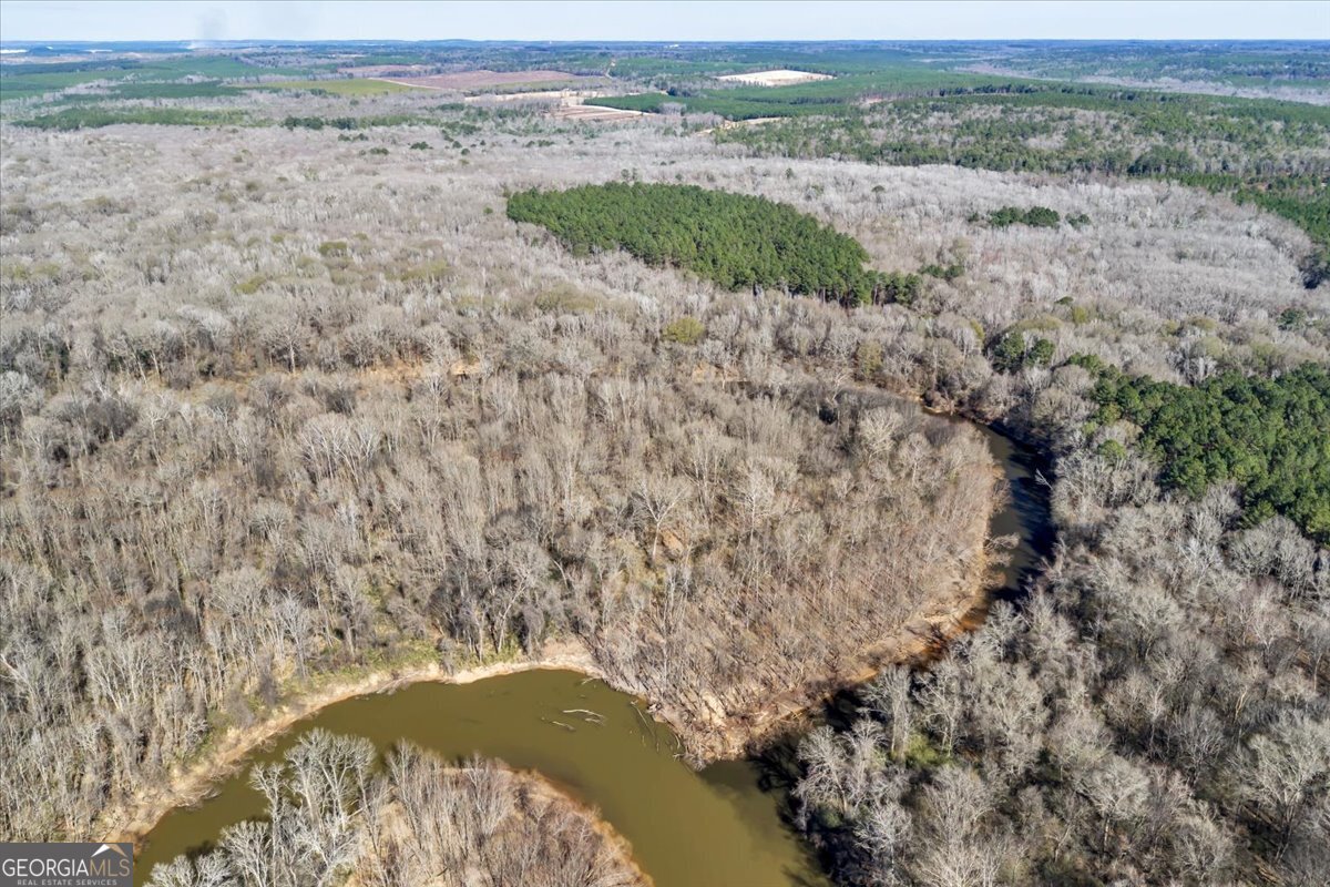 296 Boxwood Road Fort Valley, GA 31030 - Photo 20 of 52 a view of beach and ocean