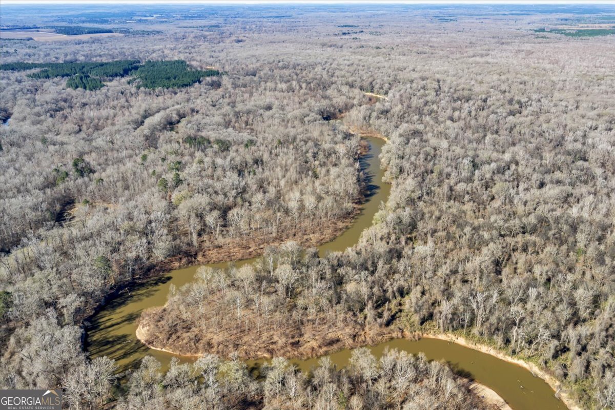 296 Boxwood Road Fort Valley, GA 31030 - Photo 23 of 52 a view of a dry yard with wooden floor and fence