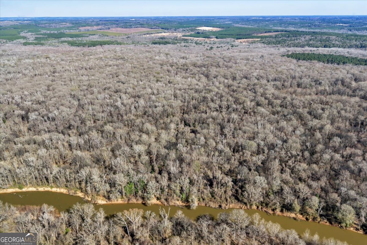 296 Boxwood Road Fort Valley, GA 31030 - Photo 25 of 52 a view of lake view and mountain view