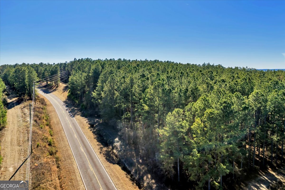 296 Boxwood Road Fort Valley, GA 31030 - Photo 36 of 52 a view of a house with a lot of trees