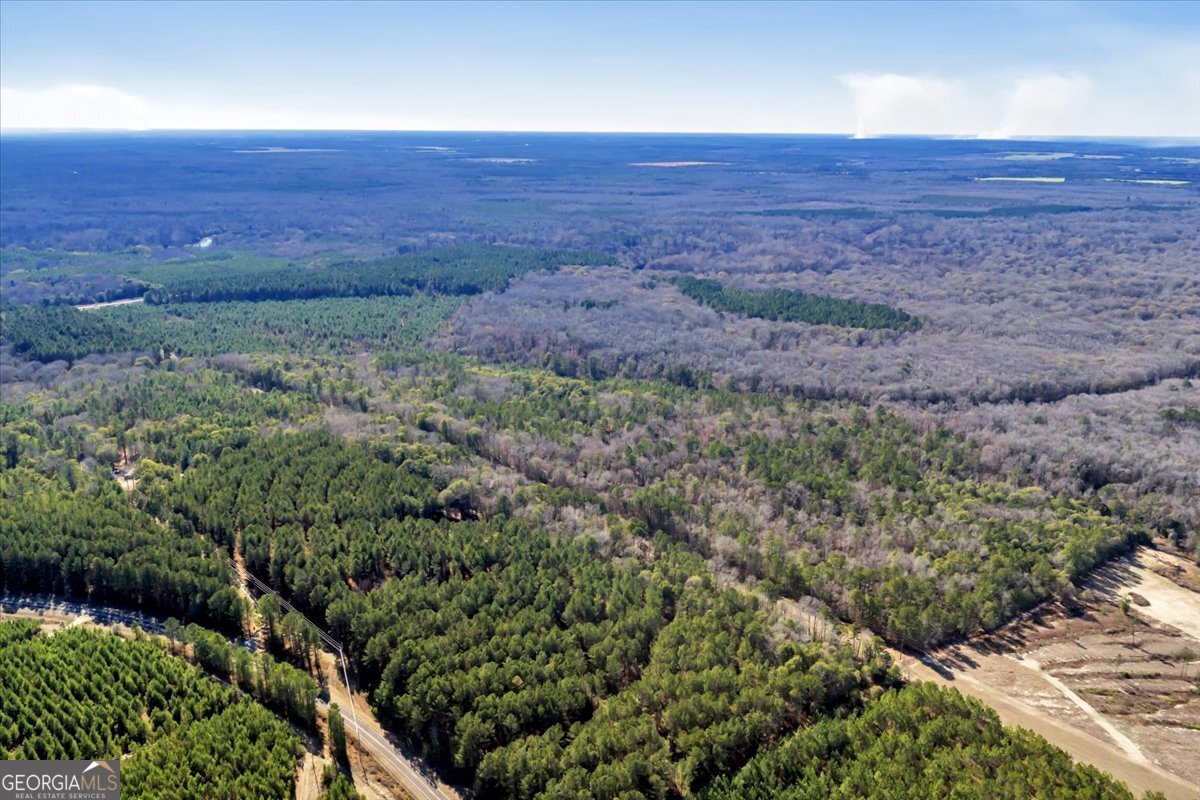 296 Boxwood Road Fort Valley, GA 31030 - Photo 37 of 52 a view of an outdoor space and a lake view