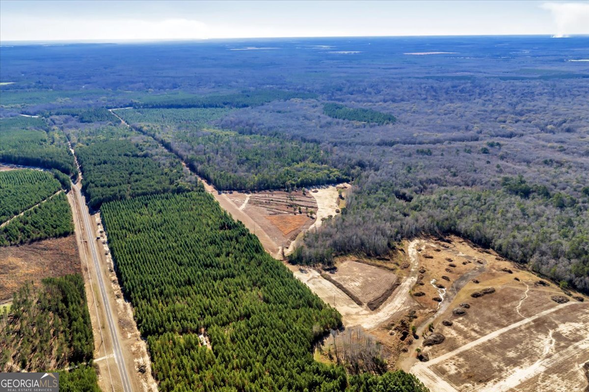 296 Boxwood Road Fort Valley, GA 31030 - Photo 38 of 52 an aerial view of a house with a yard