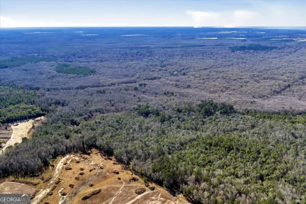 a view of a fire pit with trees