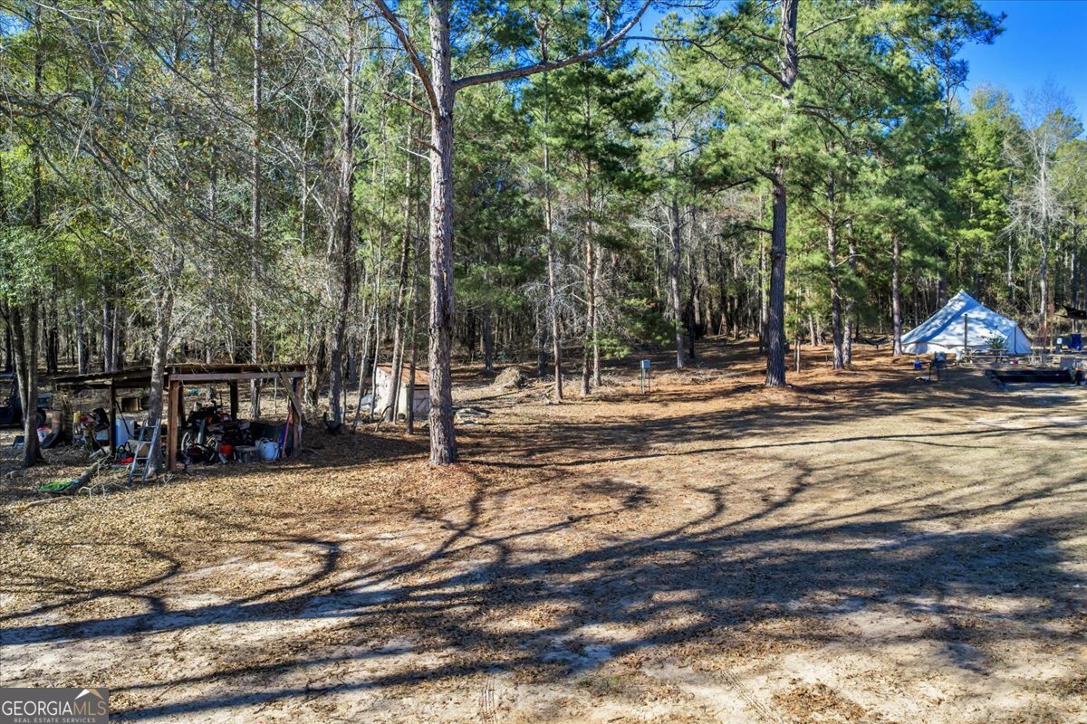 296 Boxwood Road Fort Valley, GA 31030 - Photo 43 of 52 a view of a playground with a house