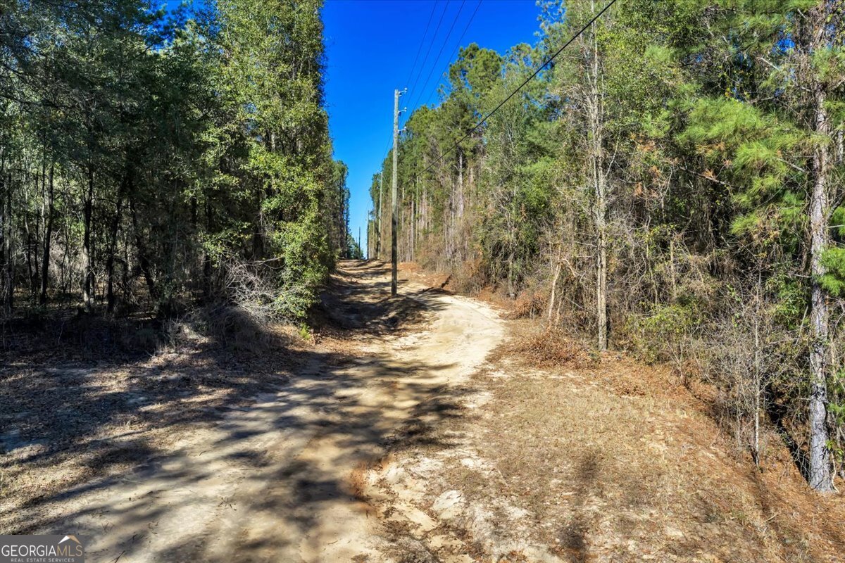 296 Boxwood Road Fort Valley, GA 31030 - Photo 47 of 52 a view of outdoor space and yard