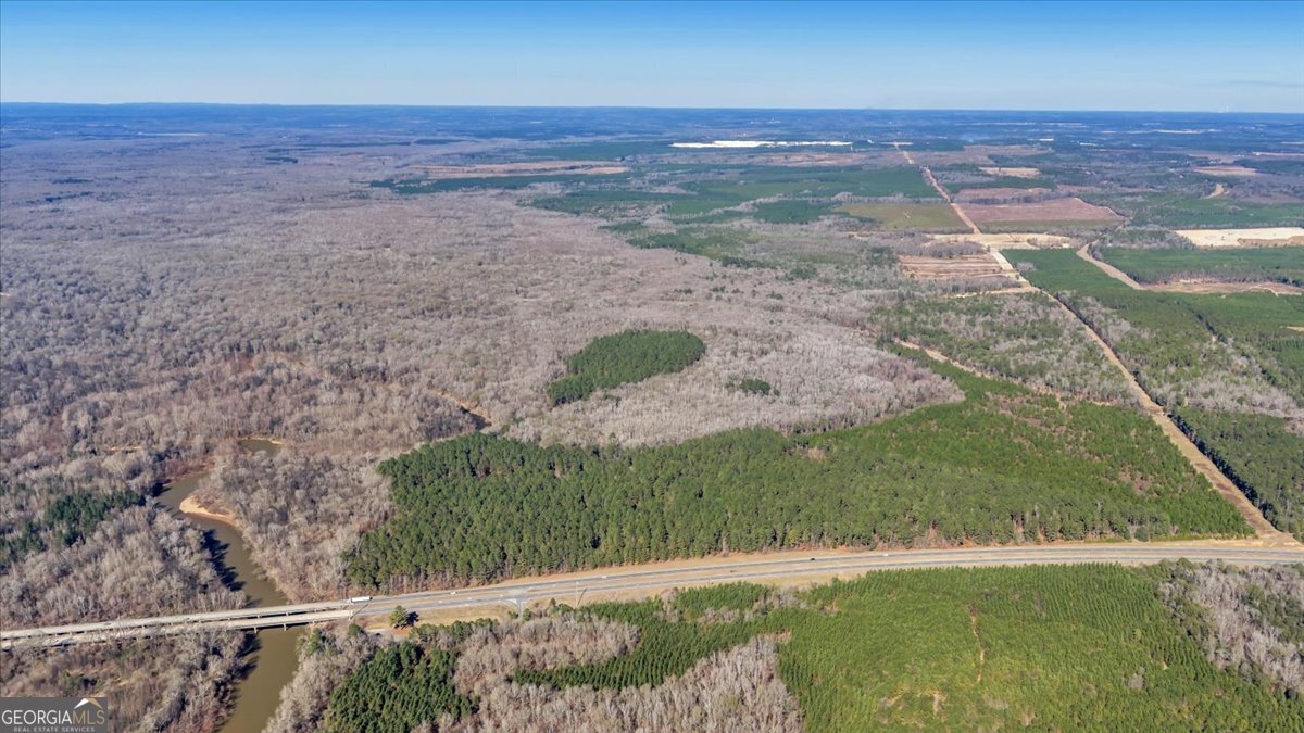 296 Boxwood Road Fort Valley, GA 31030 - Photo 7 of 52 a view of a yard with an outdoor space