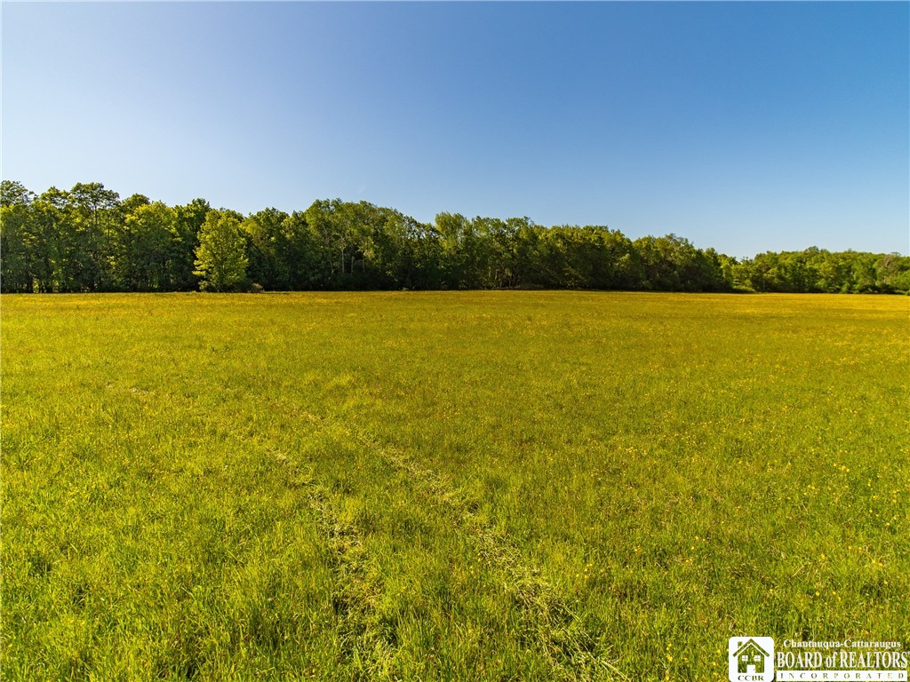 3946 Camp Road Sherman, NY 14781 - Photo 40 of 48