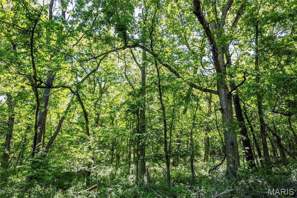 2126 Krenning Road Beaufort, MO 63013 - Photo 88 of 99