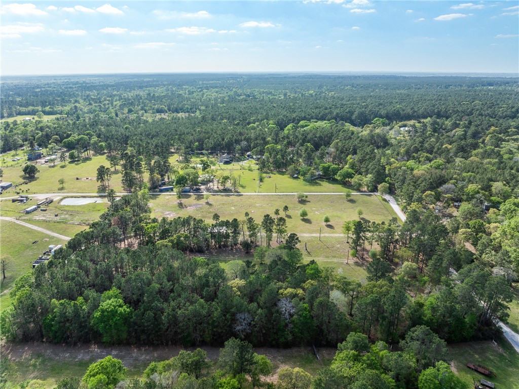 5890 Magan Road Navasota, TX 77868 - Photo 25 of 33 a view of a city with mountains in the background