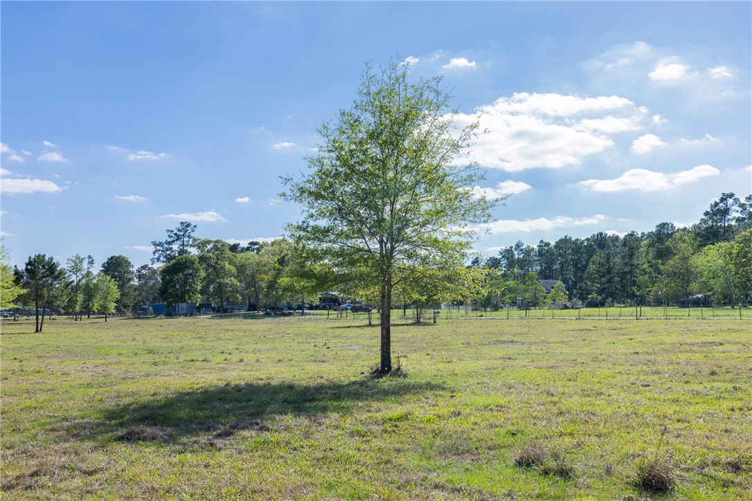 5890 Magan Road Navasota, TX 77868 - Photo 4 of 33 a backyard of a house with lots of green space