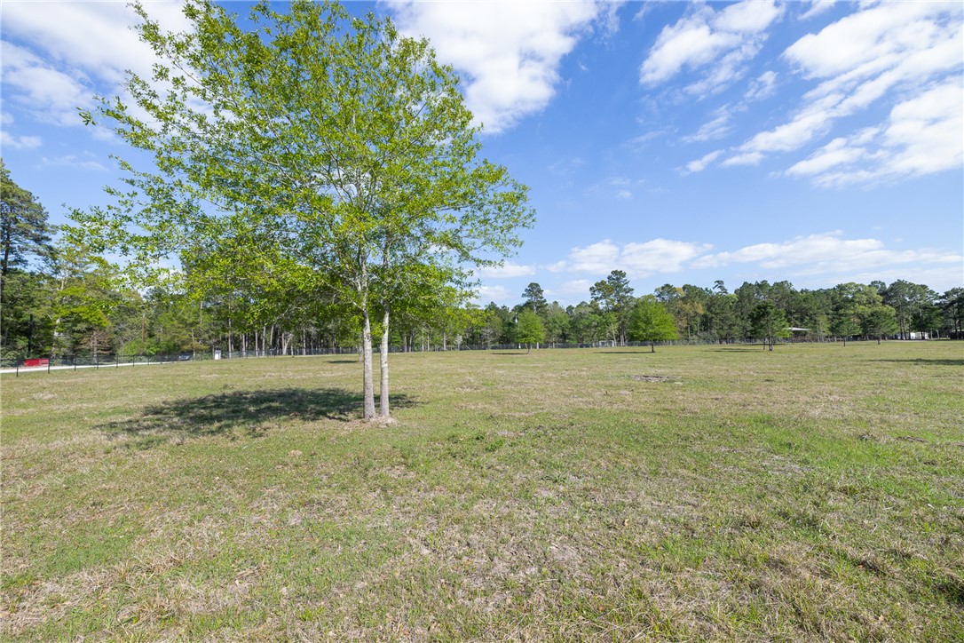 5890 Magan Road Navasota, TX 77868 - Photo 7 of 33 a view of a garden with basketball court