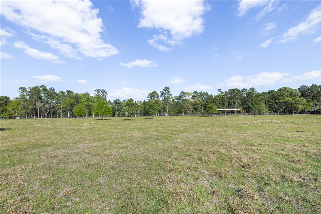 5890 Magan Road Navasota, TX 77868 - Photo 8 of 33 a view of outdoor space with field and trees
