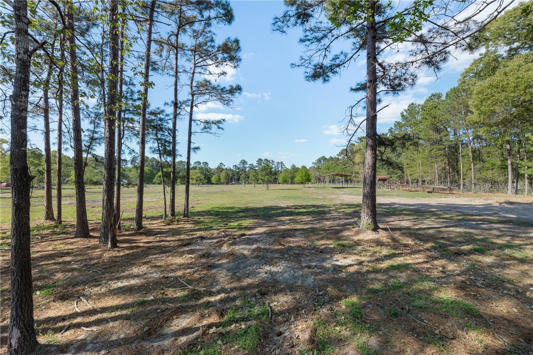 5890 Magan Road Navasota, TX 77868 - Photo 10 of 33 a view of a yard with a tree