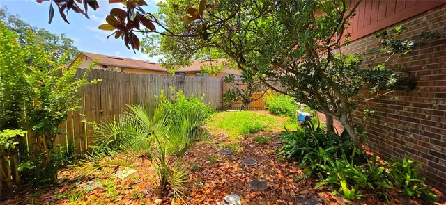 a view of a yard with plants and large trees