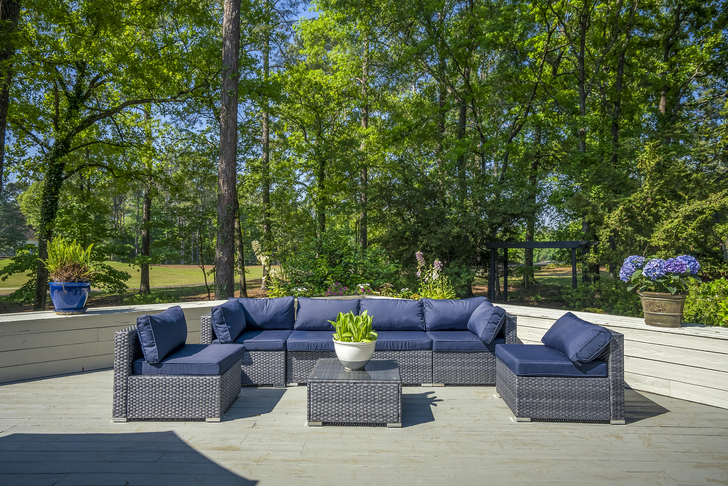 300 Live Oak Road Aiken, SC 29803 - Photo 51 of 65 ©MeghannPadgett_300LiveOak-70