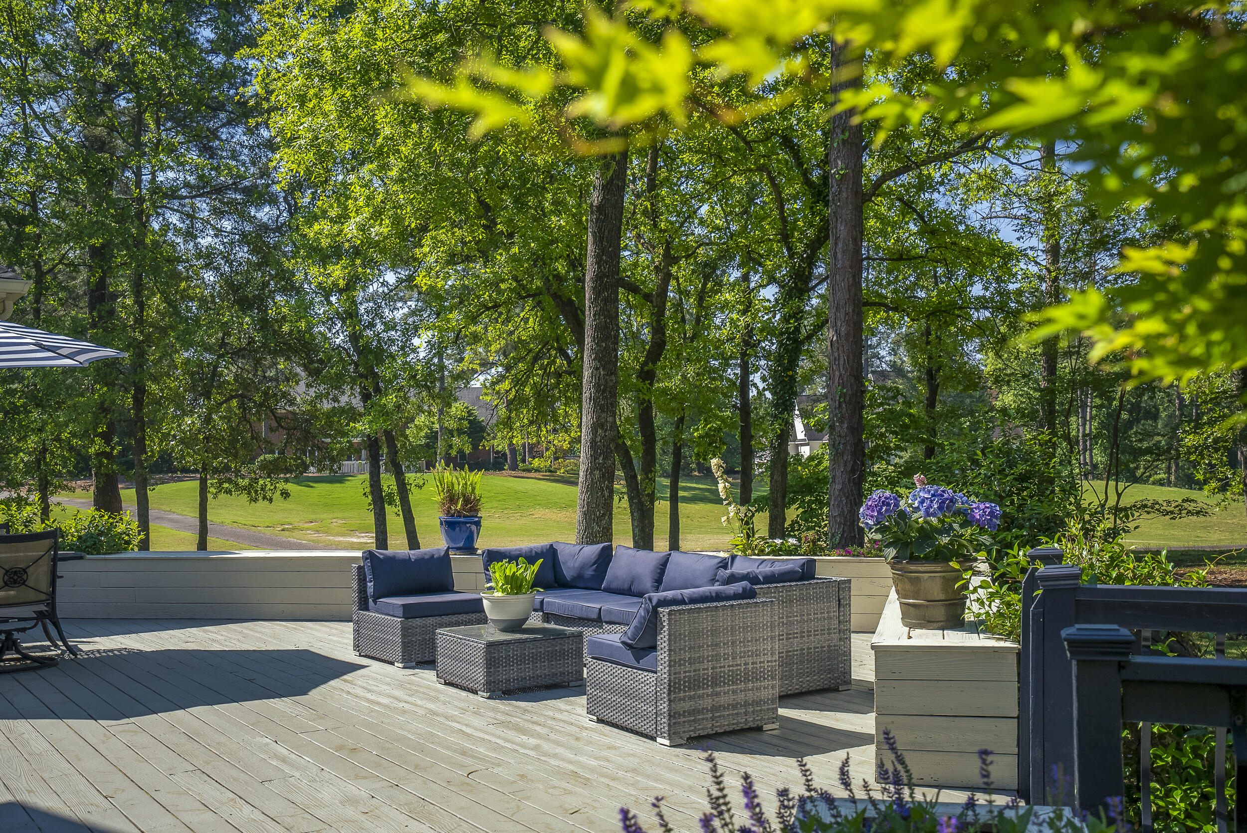 300 Live Oak Road Aiken, SC 29803 - Photo 52 of 65 ©MeghannPadgett_300LiveOak-68