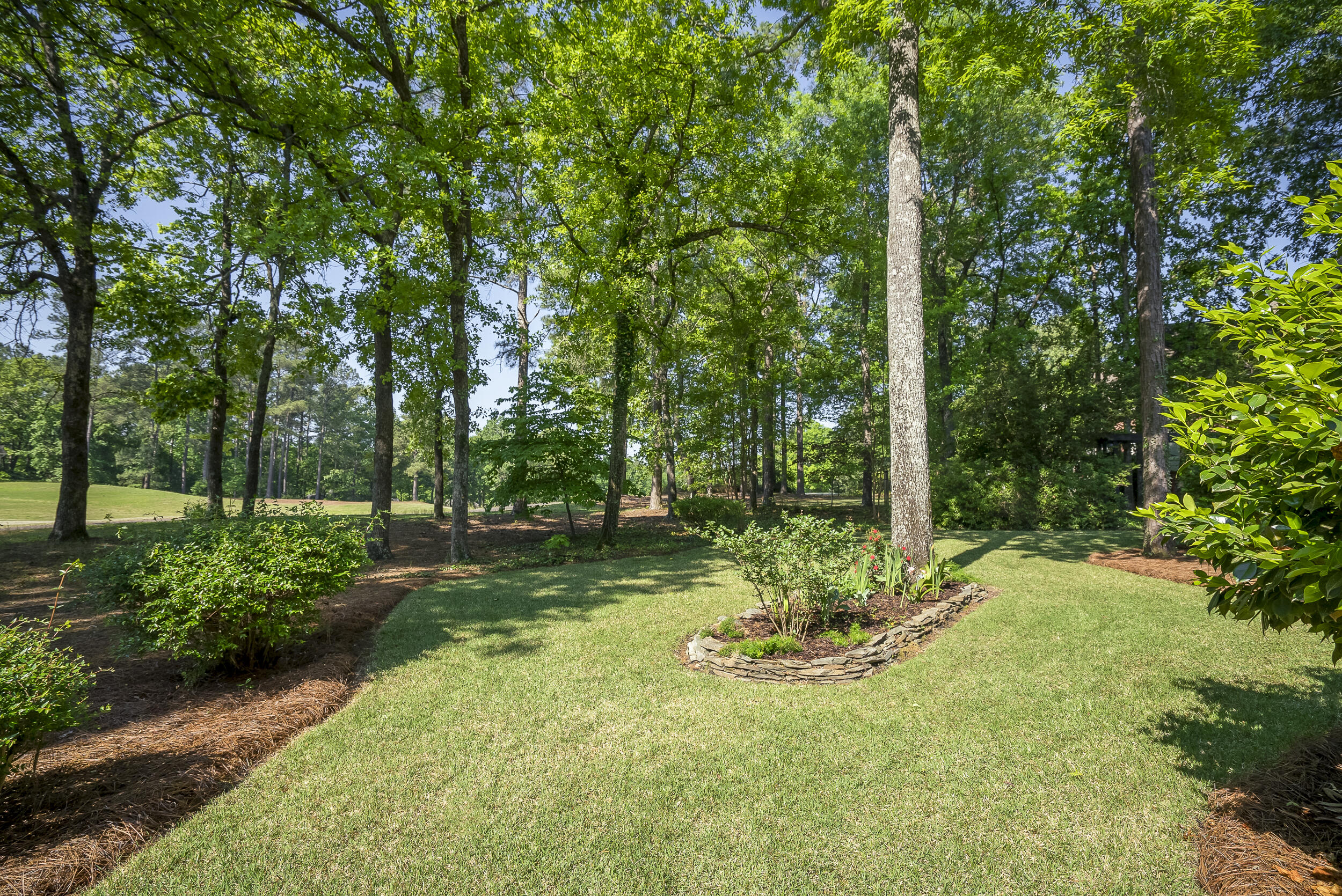 300 Live Oak Road Aiken, SC 29803 - Photo 59 of 65 ©MeghannPadgett_300LiveOak-62