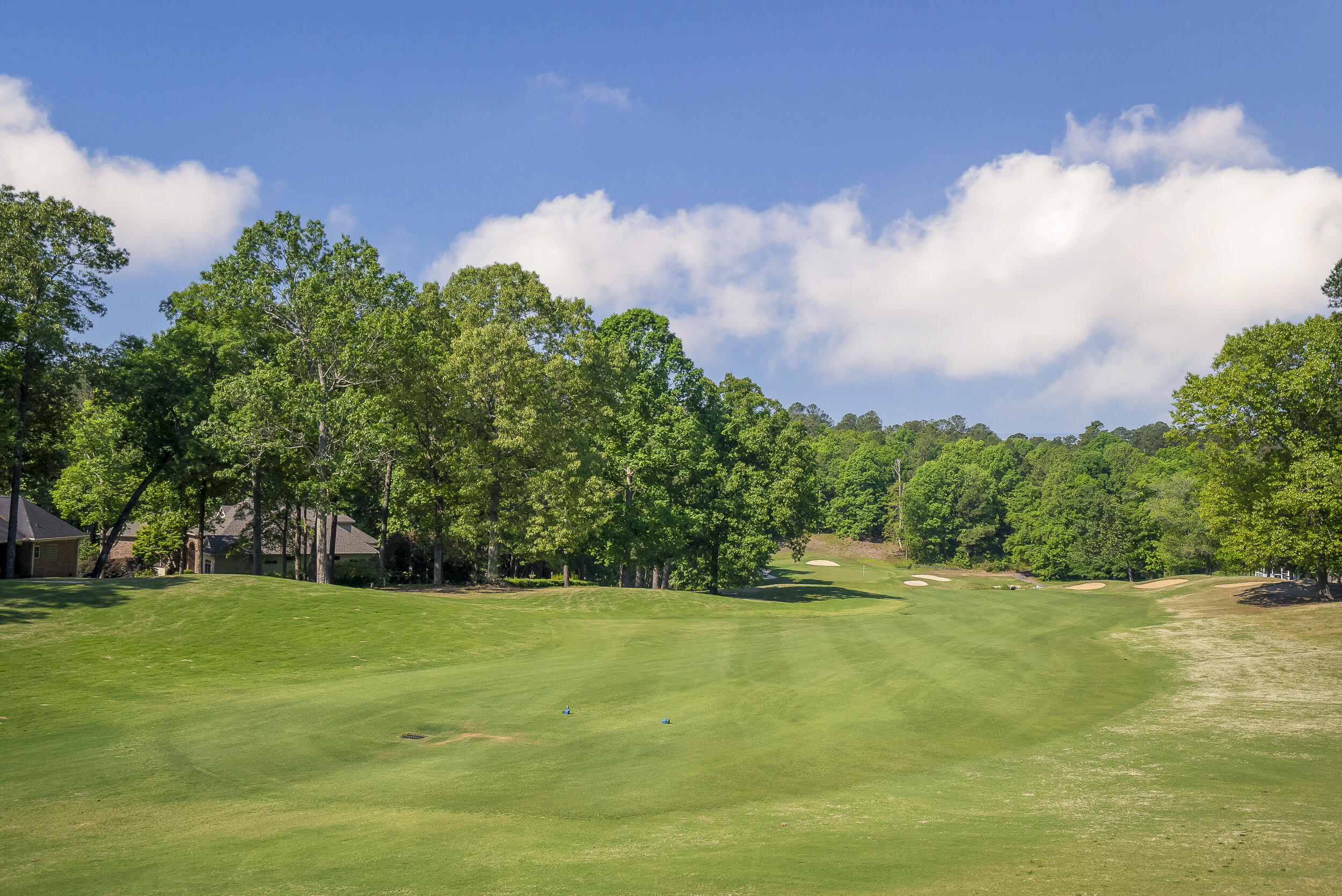 300 Live Oak Road Aiken, SC 29803 - Photo 64 of 65 ©MeghannPadgett_300LiveOak-64