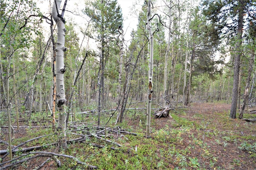 1250 Lumberjack Road Fairplay, CO 80440 - Photo 1 of 10 Gallery Image 1